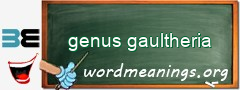 WordMeaning blackboard for genus gaultheria